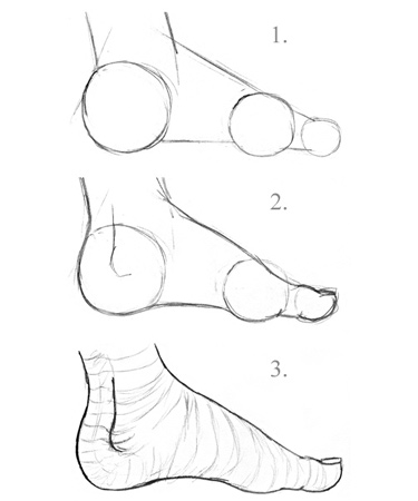 Learn to draw feet
